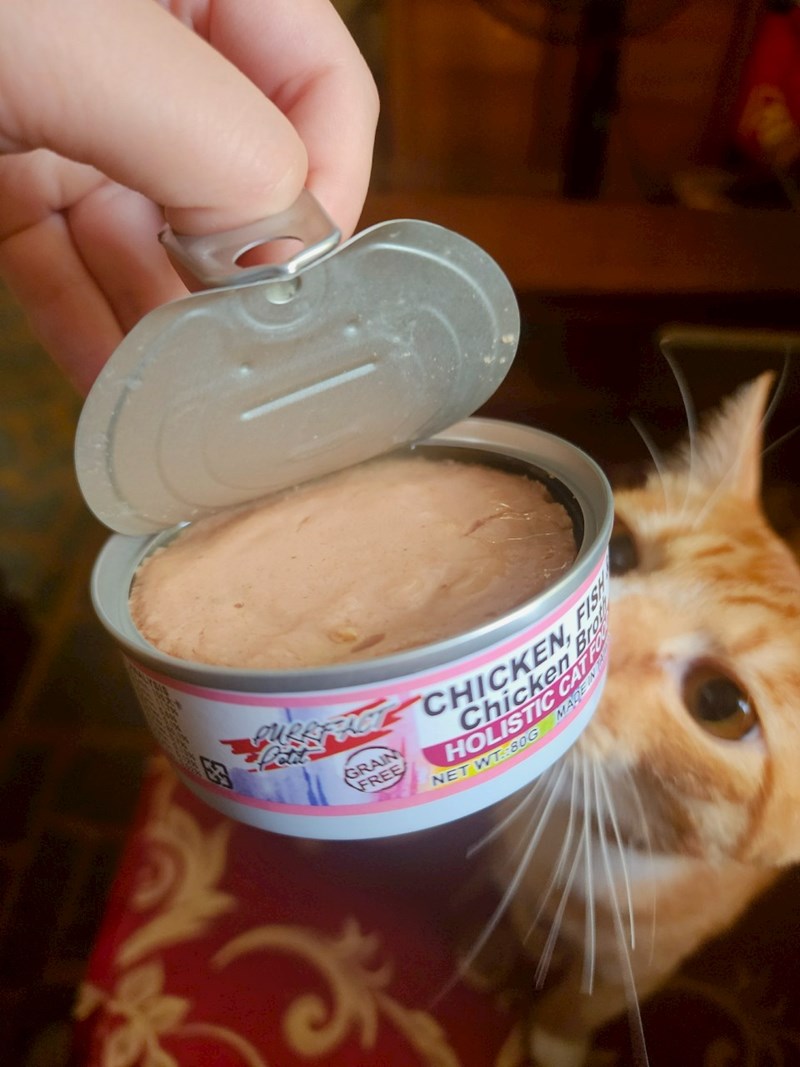 女人知己試用大隊,口碑行銷,部落客行銷,PURRFACT 波菲特貓用主食罐,主食罐,PURRFACT波菲特,貓主食罐,貓罐,PURRFACT波菲特貓用主食罐,魚肉蔓越莓主食罐,鮮嫩雞主食罐,鹿肉雞肉主食罐,牛肉鵪鶉貓主食罐,干貝蠶蛹配方,鱷魚肉白木耳配方,雞肉魚肉配方,安心鶉配方,評價,體驗,適口性佳,心得,成貓適用,高齡貓適用,質地是慕絲狀